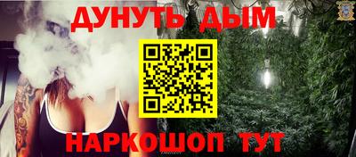 apvp Канаш